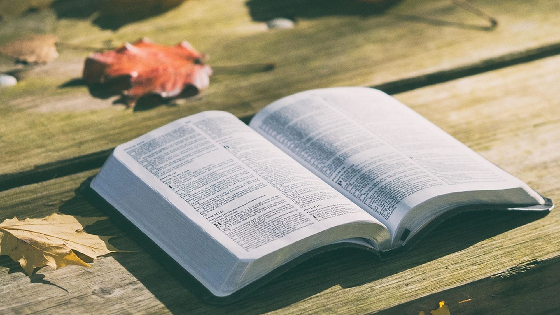 Conociendo la Biblia